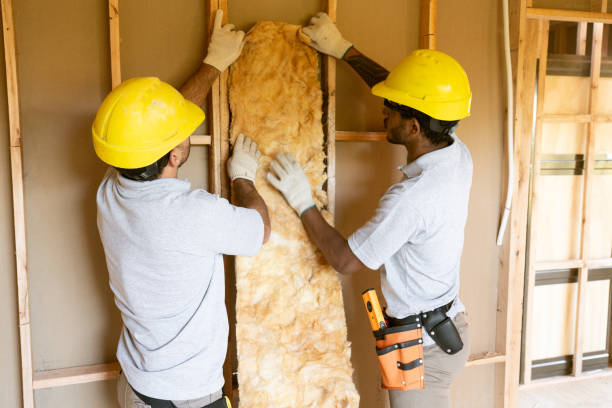Best Insulation Replacement Services  in Estell Manor, NJ