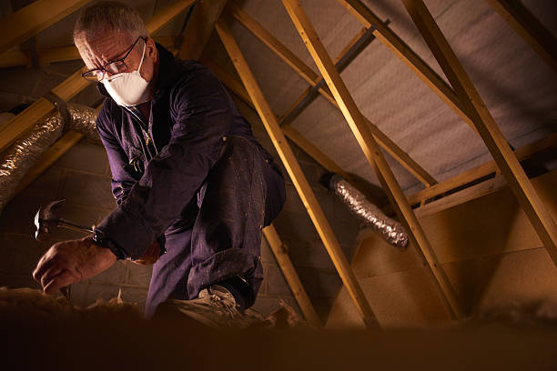 Best Professional Insulation Contractor  in Estell Manor, NJ